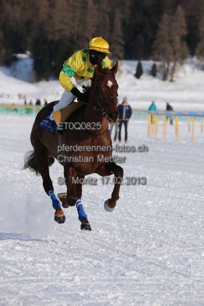 ET0Q0825 prot